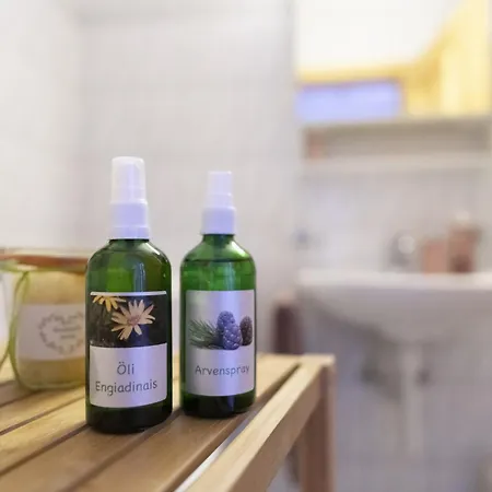 Chasa Grusaida, Apartman Vulpera